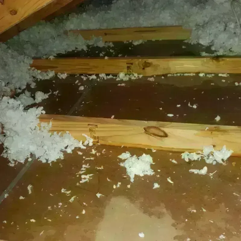 Attic Water Damage in Braddock, PA